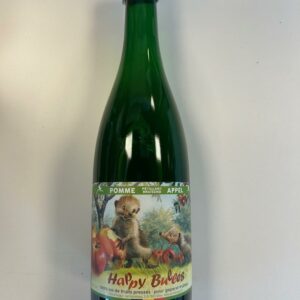 Jus de pomme pétillant 75 cl